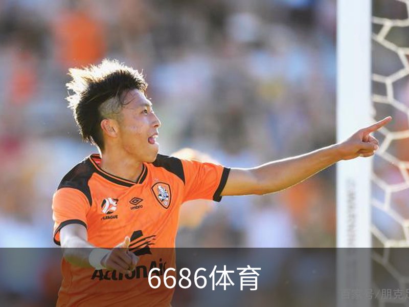 了解6686体育
